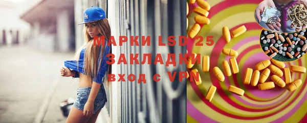 прущие грибы Абинск