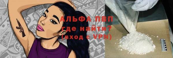 прущие грибы Абинск