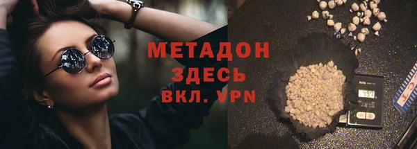 прущие грибы Абинск