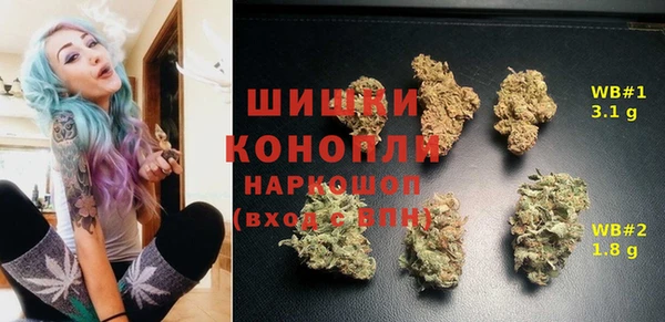 прущие грибы Абинск