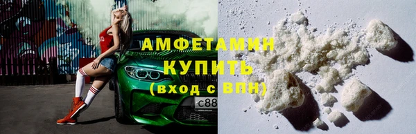 прущие грибы Абинск