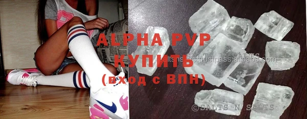 прущие грибы Абинск