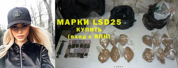 прущие грибы Абинск