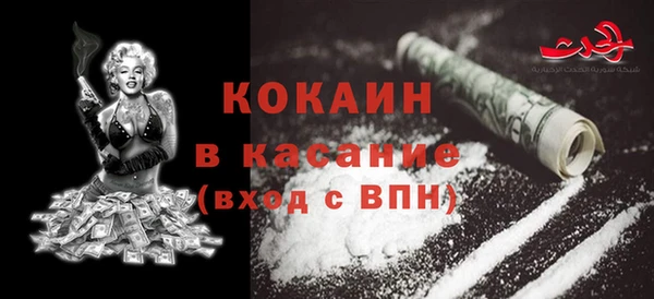 прущие грибы Абинск